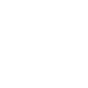 St Anne's Buisness Of the Year Award Icon