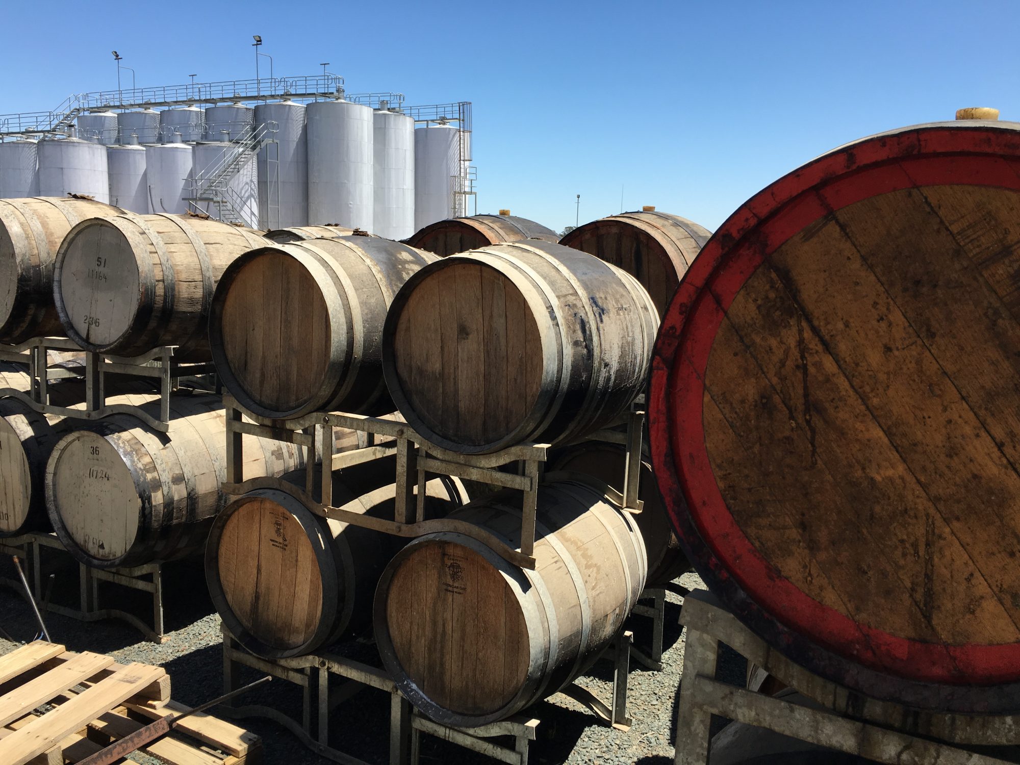 Barrels of Wine at Moama Cellar Door