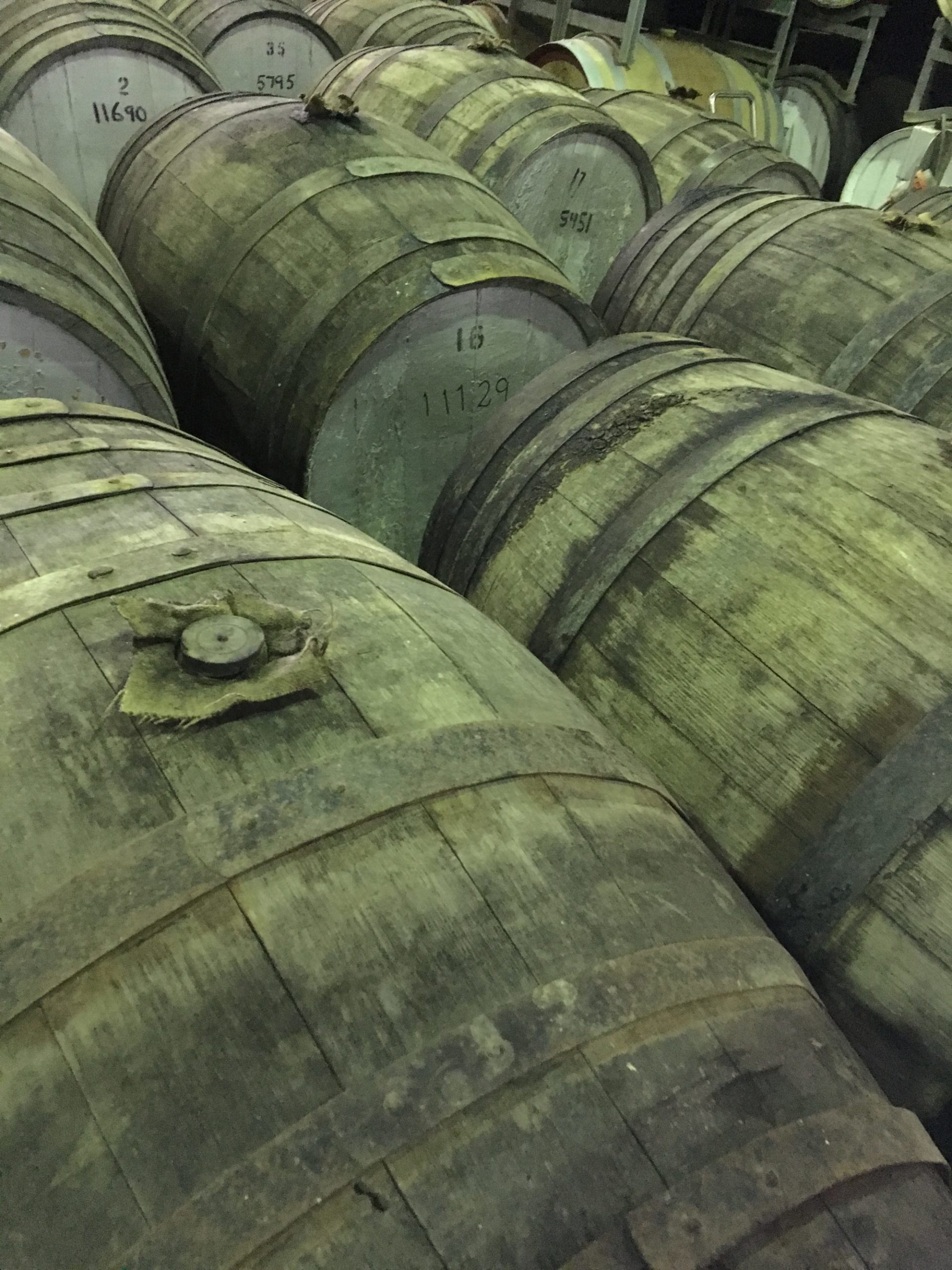 Wine Barrels at Moama Cellar Door