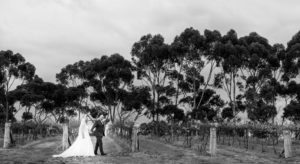 Silhouette Photo of Married Couple at St Anne's Vineyard