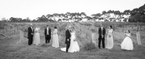 Married Couple, Brides Maids and Groom in the Vineyard