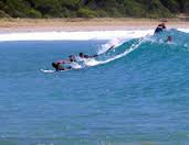 Learning to Surf in Lorne